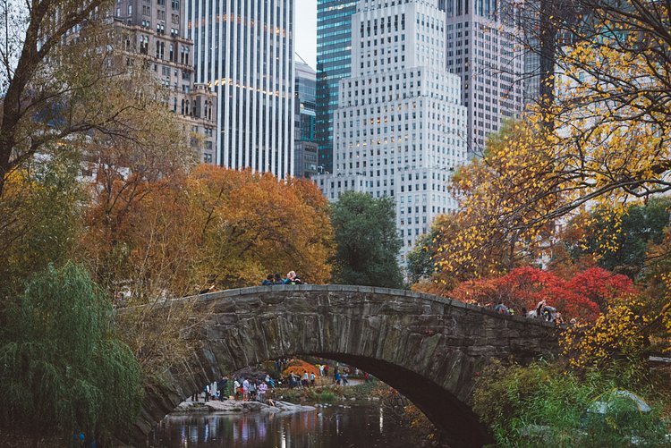 Autumn in Central Park