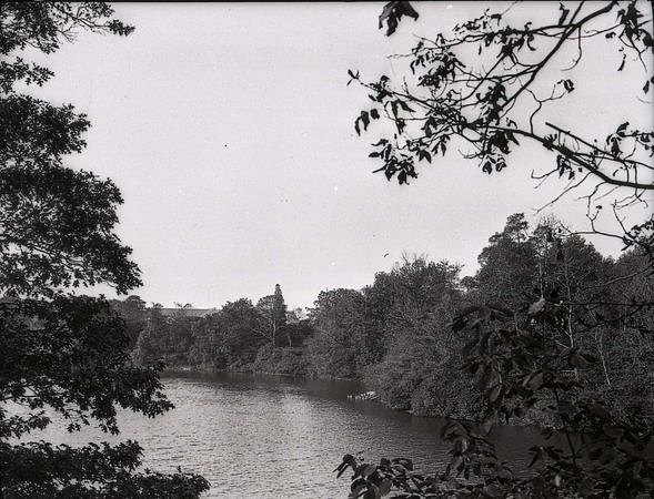 Arbutus Lake circa 1917. (From the Collection of the Staten Island Museum)