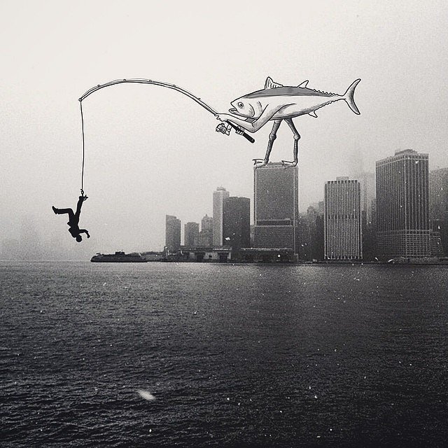 Who's hunting who? 
Photo by Gerry @gmp3