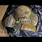 Poaching Wildlife In New York City | The New Yorker Documentary