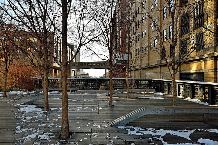 Benches in the Sky | A winter view from the aerial greenway of New York City. Look closely and behind this High Line seating area you can find the Statue of Liberty in the sunshine. 