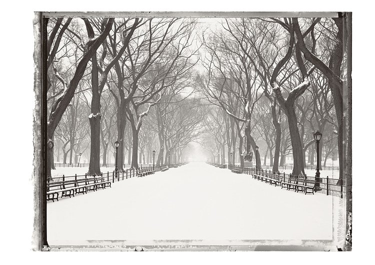 Deserted Central Park