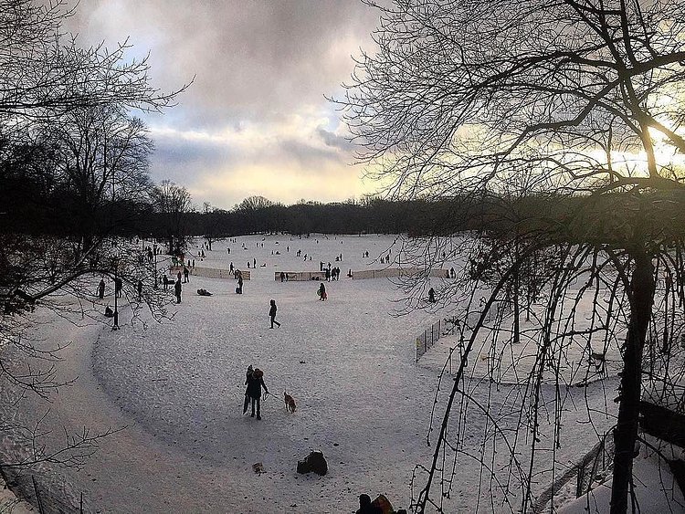 Photo via @thesaxophonewarrior #viewingnyc