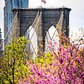 Brooklyn Bridge, Brooklyn