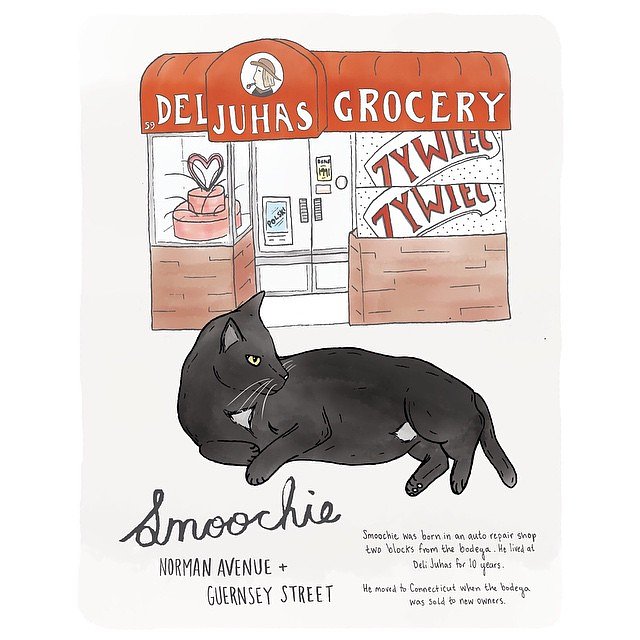 Smoochie // Greenpoint 
#greenpoint #brooklynbodegacats #bodegacatsofinstagram #bodegacats #brooklyn