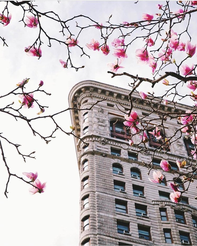 Flatiron Building, New York, New York