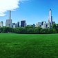 Sheep's Meadow, Central Park, NYC