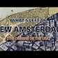 What's Left of New Amsterdam? (And the Origins of the USA)