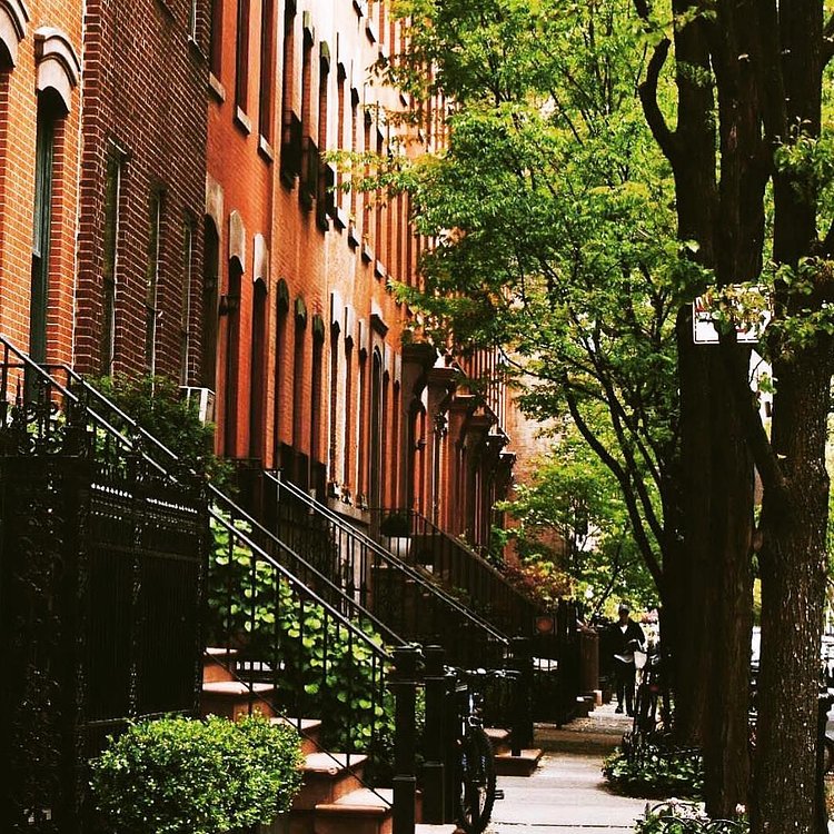 In the streets of Sunset Park 🏠🌳