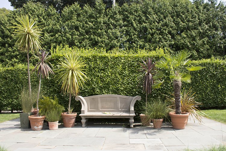 Wave Hill | Photo: Brent Terry for The Bronx Bohemian / Viewing NYC