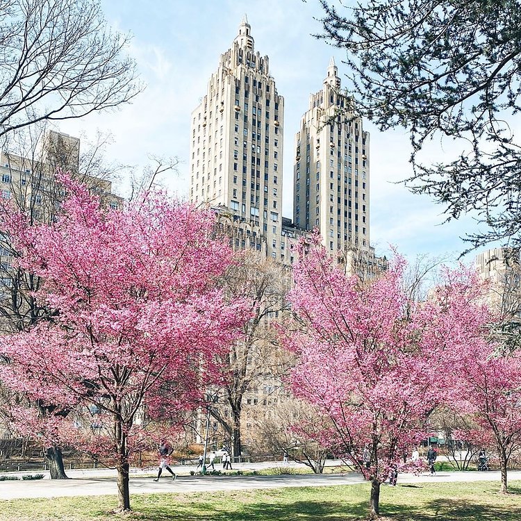 Central Park, Manhattan