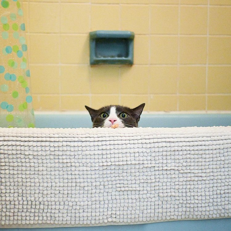 “I’m cautious. A lot of people fault me for it. Saying I’ve missed out on things. I just don’t take my lives for granted.”
- Petie, Gramercy