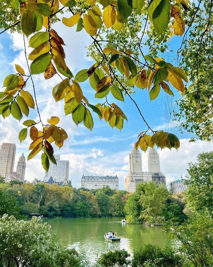 The Lake, Central Park, Manhattan