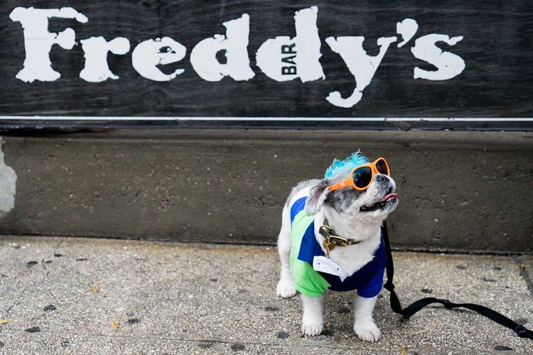 It's all about that pop of color: from blue hair to orange shades.