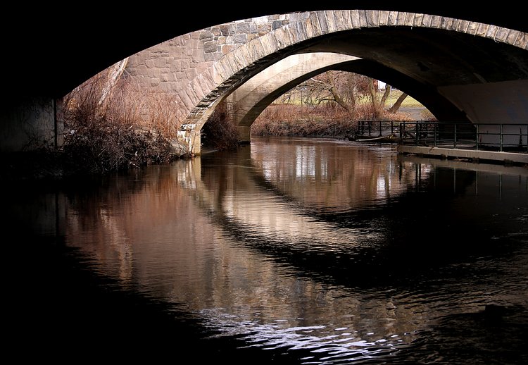 Bronx River #16 | The Bronx, NY
March 4, 2018