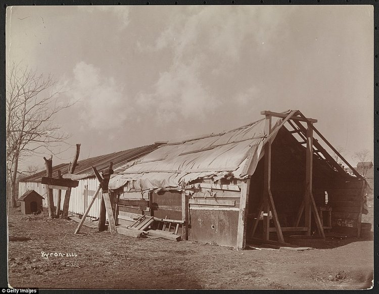 Poorly constructed barn or outbuilding on the grounds of Welfare Island, with a doghouse visible in 1896. The island was originally used as farmland by Dutch and English settlers