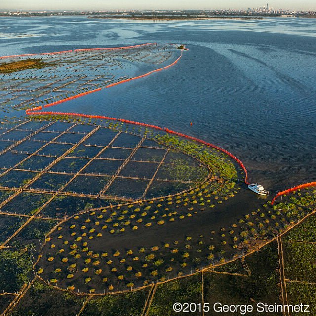Photograph by George Steinmetz @geosteinmetz / @thephotosociety  It may look by a new work the artist Christo, but this Hurricane Sandy restoration project in Jamaica Bay was supervised by the Army Corps of Engineers. The orange barrier diminishes wave erosion to help marsh plants get established and serve as a haven for fish and wildlife. Hard to believe this is #NewYorkCity, but if you look carefully #OneWorldTrade is visible in upper right.
