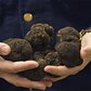 The Truffle Kingpin of New York City