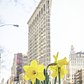 Flatiron Building, New York, New York.
