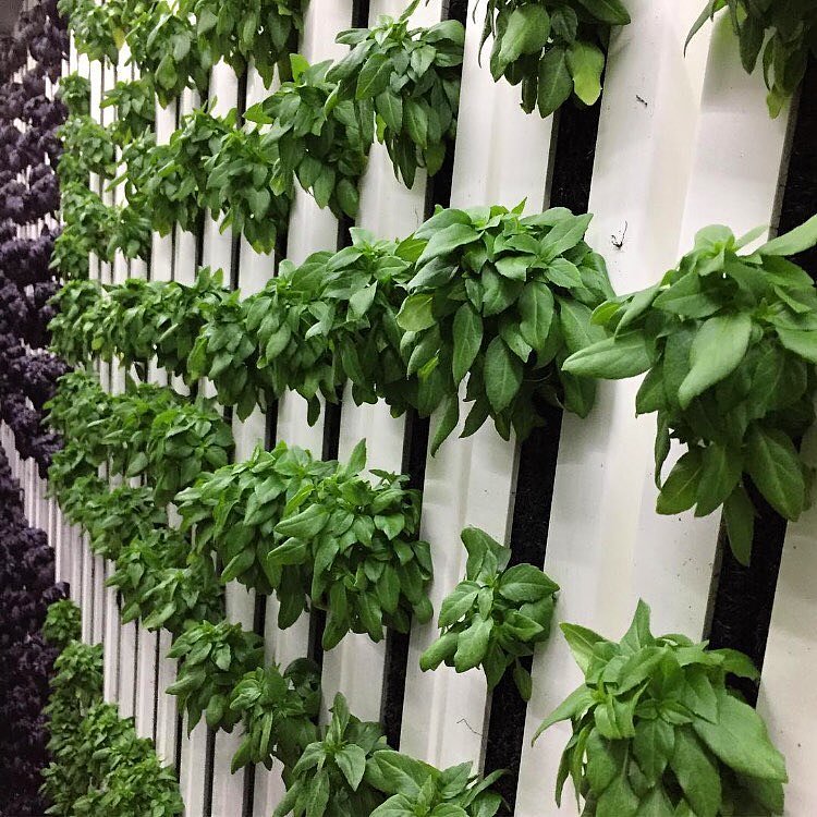 Some of their products