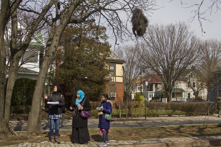 A group of students from a nearby high school observe the nesting habits of monk parakeets, as one of the nests in the area hangs above.