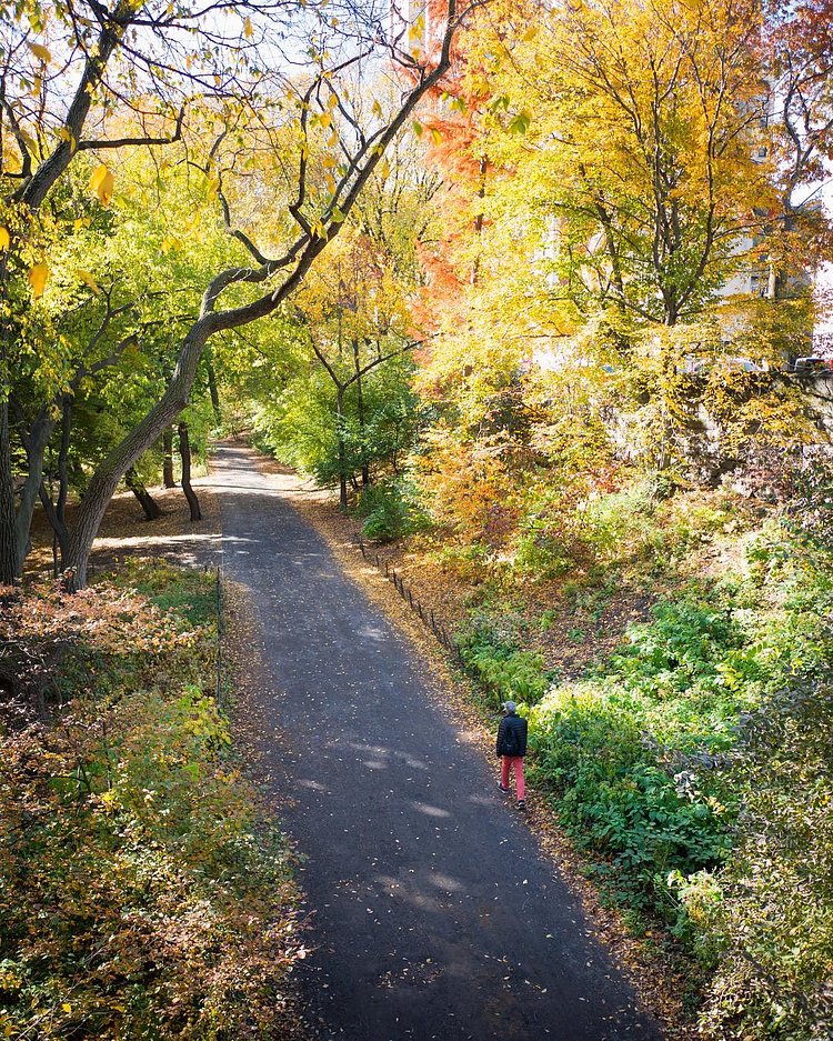Weekend on track
NYC

#panasonic #panasoniclumix
#gx85 #micro43 
#m43 #leica #15mm #leicacraft

#nycprimeshot #nycdotgram 
#manhattan #newyorkcity 
#nyc #newyork 
#what_i_saw_in_nyc #newyork_instagram
#뉴욕 #맨해튼
#マンハッタン #ニューヨーク 
#纽约 #曼哈顿 
#newyorklike
#igdaily #igworldclub 
#artofvisuals #agameoftones 
#visualarchitects #postthepeople 
#peoplescreative