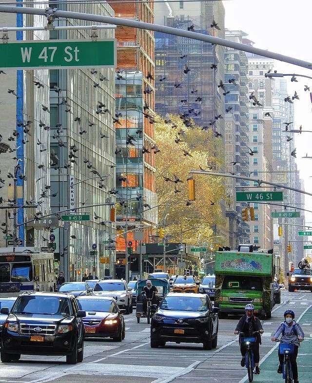 6th Avenue, Midtown, Manhattan