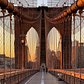 Sunset Over Brooklyn Bridge, New York