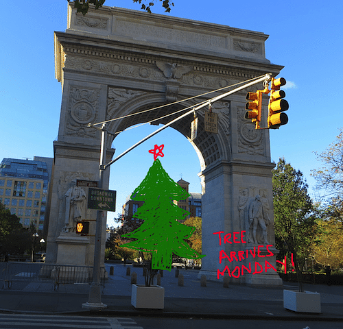 Washington Square Park Christmas Tree Arrives Monday, November 30th | Tree Lighting December 9th