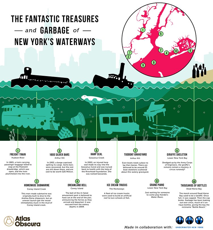 A Graphic Guide to All the Weird Things in New York City's Waterways