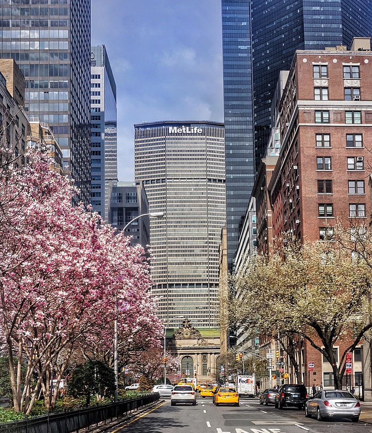 Spring has finally sprung!!🙌🏻😄🗽🌸😍#spring2016 #grandcentral #manhattan #newyorkcity #newyork #newyorker #nyc #wildnewyork #what_i_saw_in_nyc  #centralpark #cherryblossoms #ig_nycity  #instadaily #instanewyork #america #usa #picoftheday #cityscape #instagramnyc #nycprimeshot #pocket_usa #beautifuldestinations #travelingourplanet #empirestate #throwback #parkavenue #springblossoms #cherryblossom #timeoutnewyork #iloveny