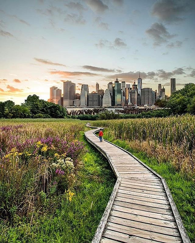 Photo via @killianmoore 
#viewingnyc