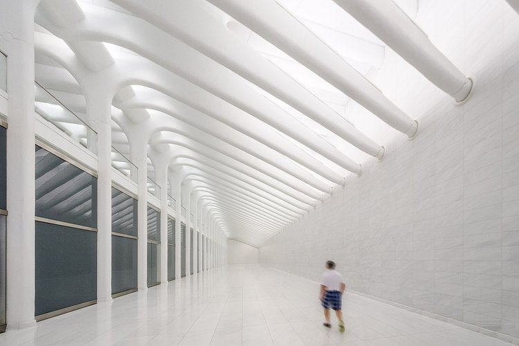 Inside Santiago Calatrava's WTC Transportation Hub in New York