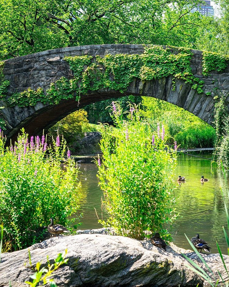 Gapstow Bridge, Central Park, Manhattan