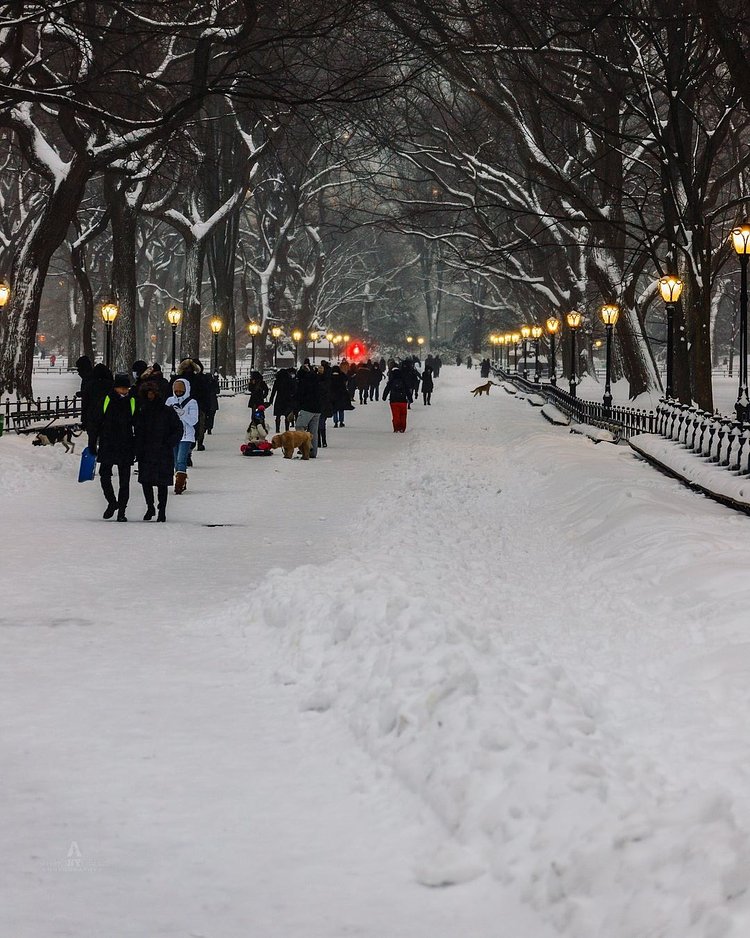 The Mall in Central Park, Manhattan