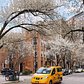 Spring in the West Village, Manhattan