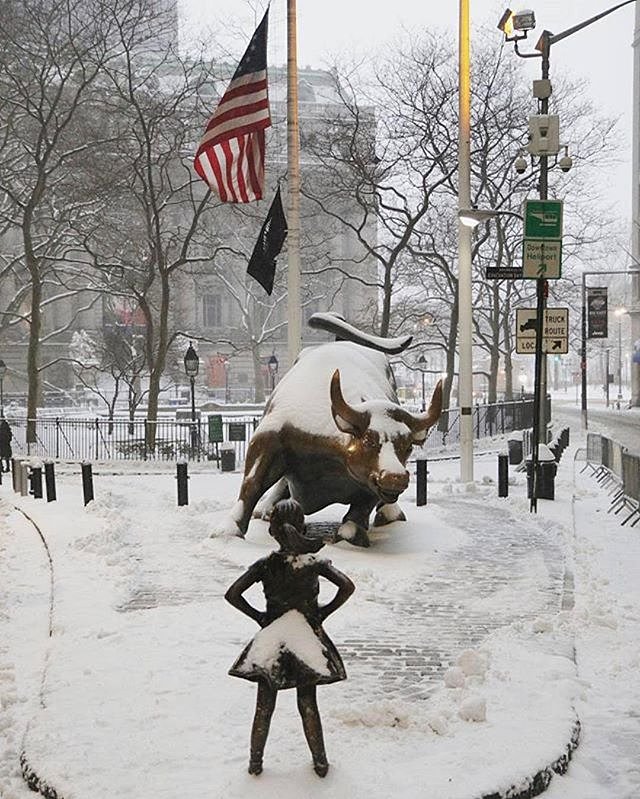 Photo via @maximusupinnyc 
#viewingnyc