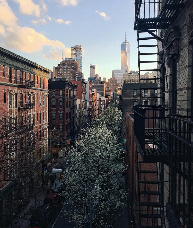 One of my favorite views of NYC, taken earlier this spring right from my own fire escape. My friends at @caldreaco are giving away a day of exquisite experiences to those with superior architectural taste. Go to @caldreaco to test yours. #experiencecaldrea #sp