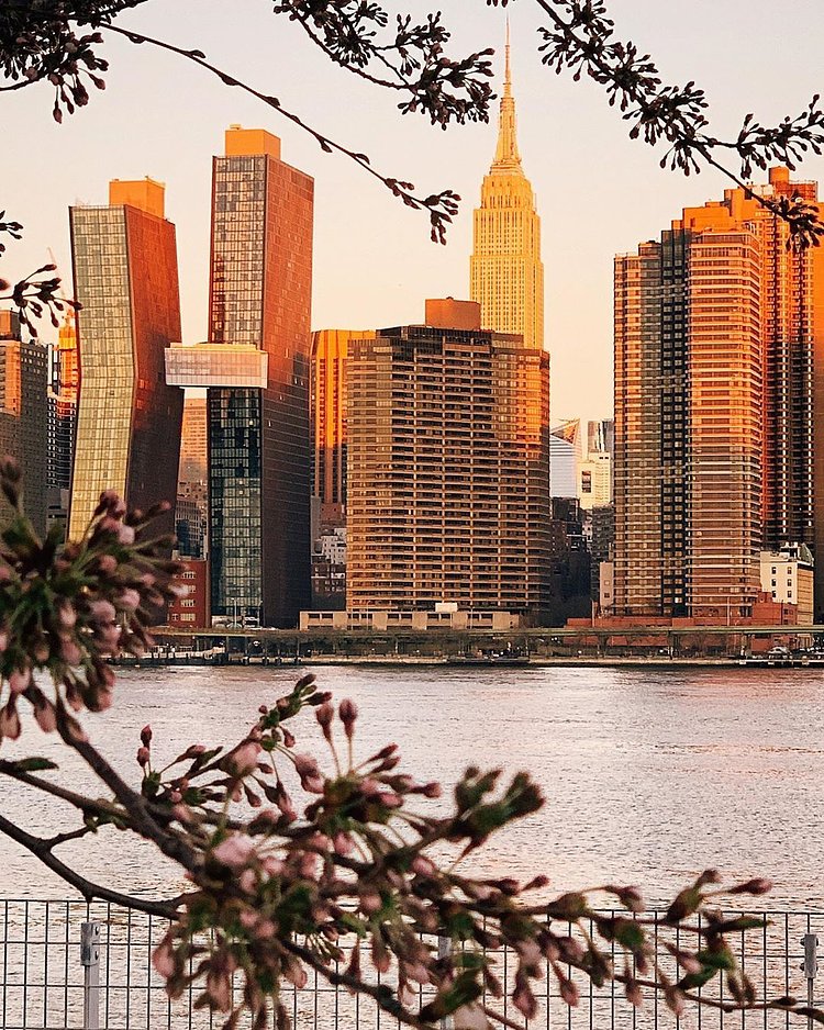 Midtown East from Roosevelt Island