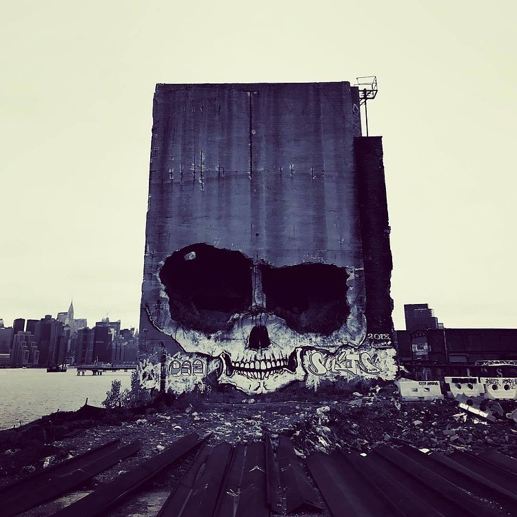 Willy B Skull, Greenpoint, Brooklyn