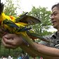 Birds In Flight Show | Bronx Zoo