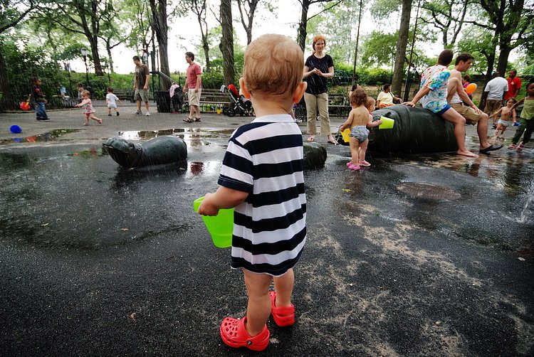 Surveying his Options