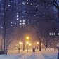 Snowy night in New York City. ASMR G85 12-60mm 4K
