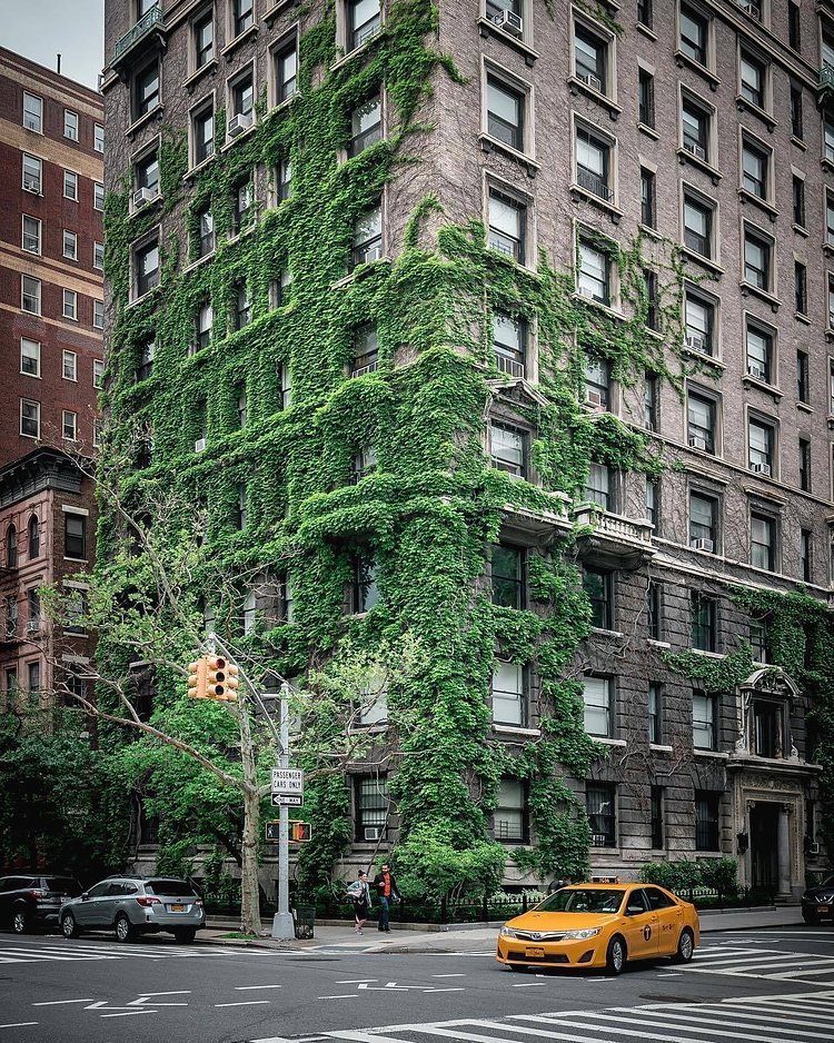 New York, New York. Photo via @212sid #viewingnyc #newyork #newyorkcity #nyc