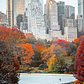 Central Park, New York, New York
