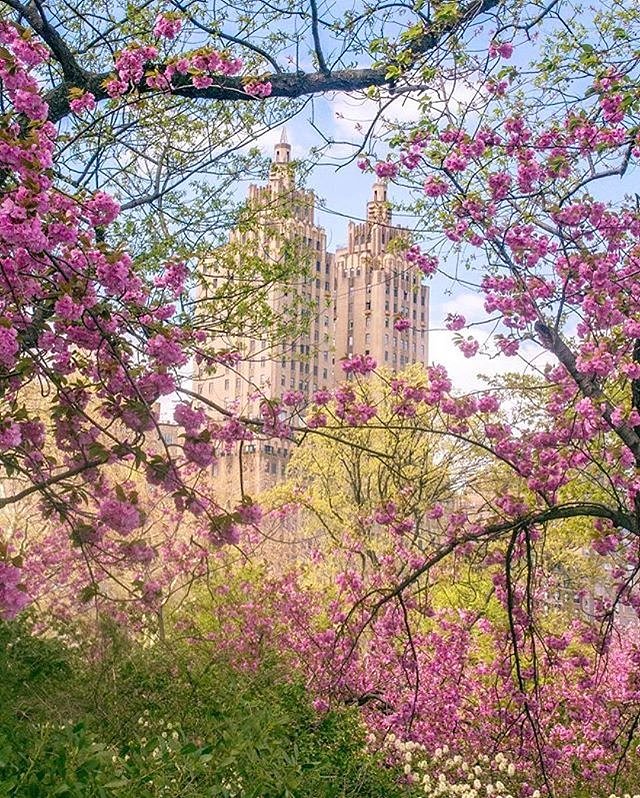 Photo via @newyorkcitykopp 
#viewingnyc