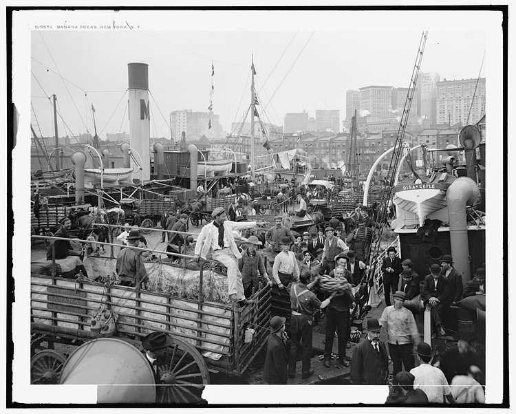 Banana docks, NYC, 1906.