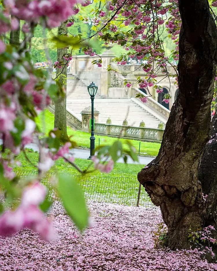 Bethesda Terrace and Fountain, Central Park, Manhattan