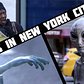Aliens In NYC