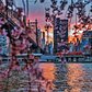 Sunset from Roosevelt Island.